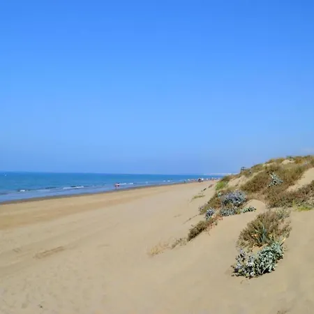In Elviria Near *